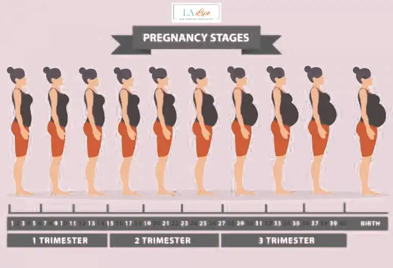 First Trimester (Weeks 1–12): Early Changes You Might Not Notice Brighton and Hove